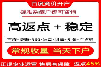 谷歌竞价广告的投放策略与成功案例分析